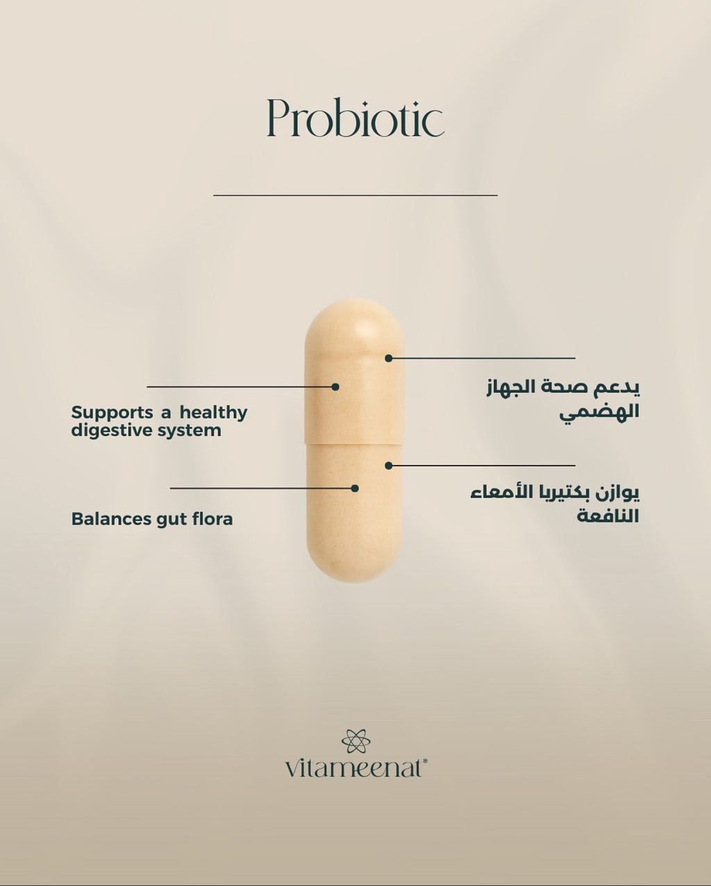 Probiotic description - Daily Essentials - All in One Vitamin Box - Vitameenat