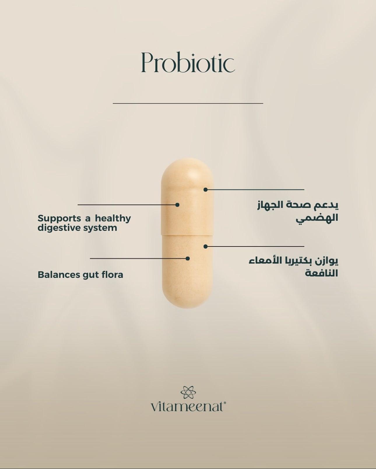 Probiotic description - Daily Essentials - All in One Vitamin Box - Vitameenat